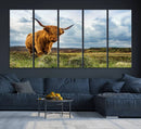 Highland Cattle Wall Art Cow Canvas Print Animal Art by MyGreatCanvas | Canvas Wall Art Prints | Photo Prints & Wall Decor