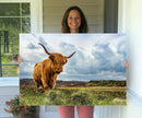 Highland Cattle Wall Art Cow Canvas Print Animal Art by MyGreatCanvas | Canvas Wall Art Prints | Photo Prints & Wall Decor