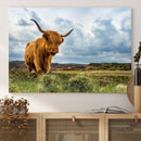 Highland Cattle Wall Art Cow Canvas Print Animal Art by MyGreatCanvas | Canvas Wall Art Prints | Photo Prints & Wall Decor