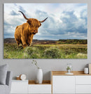 Highland Cattle Wall Art Cow Canvas Print Animal Art by MyGreatCanvas | Canvas Wall Art Prints | Photo Prints & Wall Decor