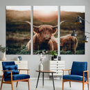 Highland Cow Animal Canvas Wall Art Texas Cattle Art Print