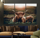 Highland Cow Animal Canvas Wall Art Texas Cattle Art Print
