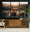 Highland Cow Animal Canvas Wall Art Texas Cattle Art Print