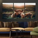 Highland Cow Animal Canvas Wall Art Texas Cattle Art Print