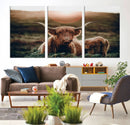 Highland Cow Animal Canvas Wall Art Texas Cattle Art Print