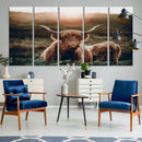 Highland Cow Animal Canvas Wall Art Texas Cattle Art Print
