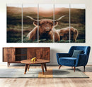 Highland Cow Animal Canvas Wall Art Texas Cattle Art Print