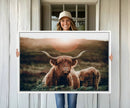 Highland Cow Animal Canvas Wall Art Texas Cattle Art Print