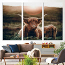 Highland Cow Animal Canvas Wall Art Texas Cattle Art Print