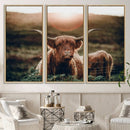 Highland Cow Animal Canvas Wall Art Texas Cattle Art Print