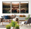 Highland Cow Animal Canvas Wall Art Texas Cattle Art Print
