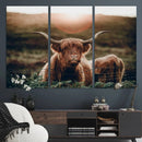 Highland Cow Animal Canvas Wall Art Texas Cattle Art Print