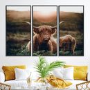 Highland Cow Animal Canvas Wall Art Texas Cattle Art Print