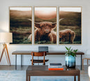 Highland Cow Animal Canvas Wall Art Texas Cattle Art Print