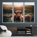Highland Cow Animal Canvas Wall Art Texas Cattle Art Print