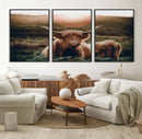 Highland Cow Animal Canvas Wall Art Texas Cattle Art Print
