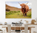 Highland Cow Animal Canvas Wall Art Texas Cattle Art Print