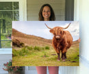 Highland Cow Animal Canvas Wall Art Texas Cattle Art Print