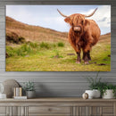 Highland Cow Animal Canvas Wall Art Texas Cattle Art Print