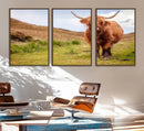 Highland Cow Animal Canvas Wall Art Texas Cattle Art Print