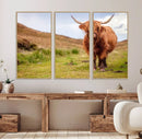 Highland Cow Animal Canvas Wall Art Texas Cattle Art Print