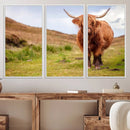Highland Cow Animal Canvas Wall Art Texas Cattle Art Print