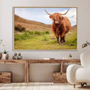 Highland Cow Animal Canvas Wall Art Texas Cattle Art Print