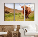 Highland Cow Animal Canvas Wall Art Texas Cattle Art Print