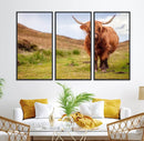 Highland Cow Animal Canvas Wall Art Texas Cattle Art Print