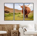 Highland Cow Animal Canvas Wall Art Texas Cattle Art Print
