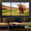 Highland Cow Animal Canvas Wall Art Texas Cattle Art Print