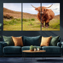 Highland Cow Animal Canvas Wall Art Texas Cattle Art Print