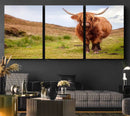 Highland Cow Animal Canvas Wall Art Texas Cattle Art Print