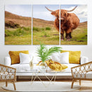 Highland Cow Animal Canvas Wall Art Texas Cattle Art Print