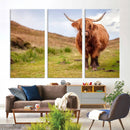Highland Cow Animal Canvas Wall Art Texas Cattle Art Print