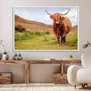 Highland Cow Animal Canvas Wall Art Texas Cattle Art Print