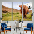 Highland Cow Animal Canvas Wall Art Texas Cattle Art Print