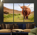 Highland Cow Animal Canvas Wall Art Texas Cattle Art Print