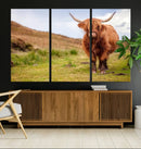 Highland Cow Animal Canvas Wall Art Texas Cattle Art Print