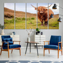 Highland Cow Animal Canvas Wall Art Texas Cattle Art Print