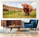 Highland Cow Animal Canvas Wall Art Texas Cattle Art Print