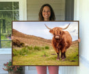 Highland Cow Animal Canvas Wall Art Texas Cattle Art Print