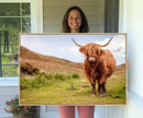 Highland Cow Animal Canvas Wall Art Texas Cattle Art Print
