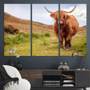 Highland Cow Animal Canvas Wall Art Texas Cattle Art Print