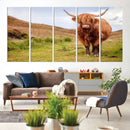 Highland Cow Animal Canvas Wall Art Texas Cattle Art Print