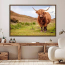 Highland Cow Animal Canvas Wall Art Texas Cattle Art Print