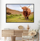 Highland Cow Animal Canvas Wall Art Texas Cattle Art Print
