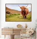 Highland Cow Animal Canvas Wall Art Texas Cattle Art Print