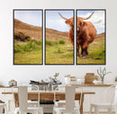 Highland Cow Animal Canvas Wall Art Texas Cattle Art Print