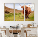 Highland Cow Animal Canvas Wall Art Texas Cattle Art Print
